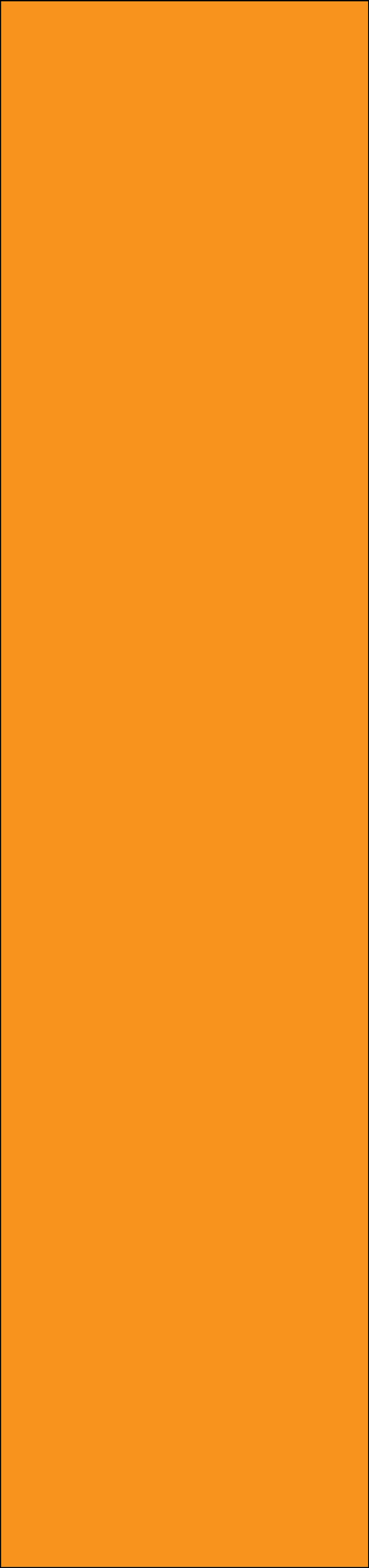 Orange Color Block